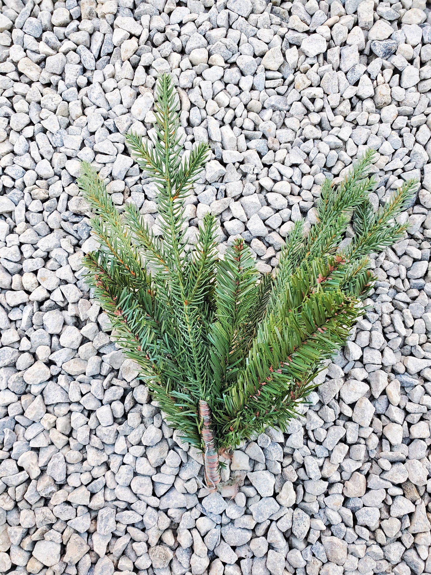 Fleurs artificielles - Branches sapin