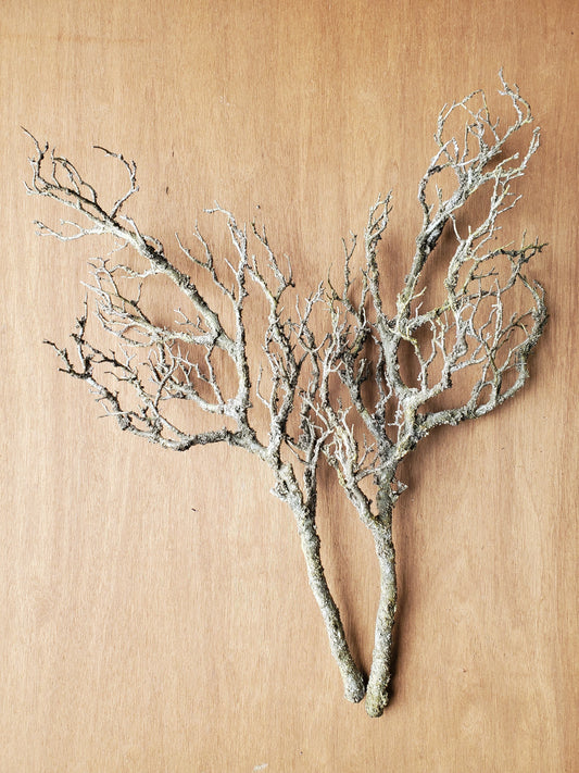 Fleurs artificielles - Branches