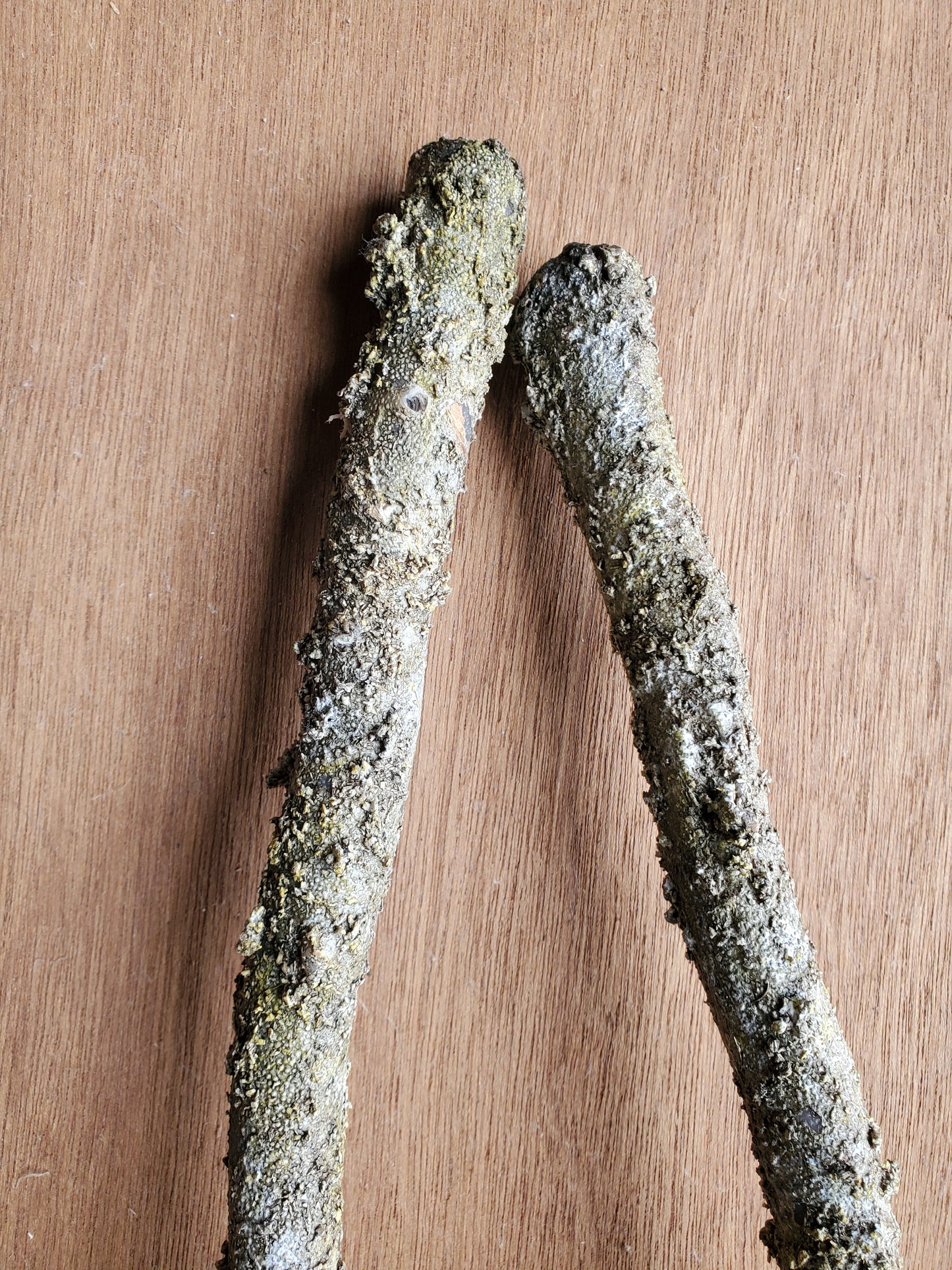 Fleurs artificielles - Branches