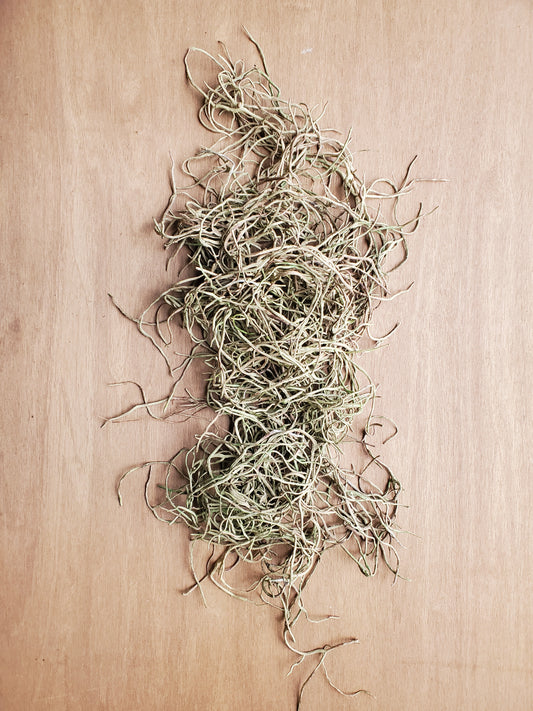 Fleurs artificielles - Branches molles type Tillandsia