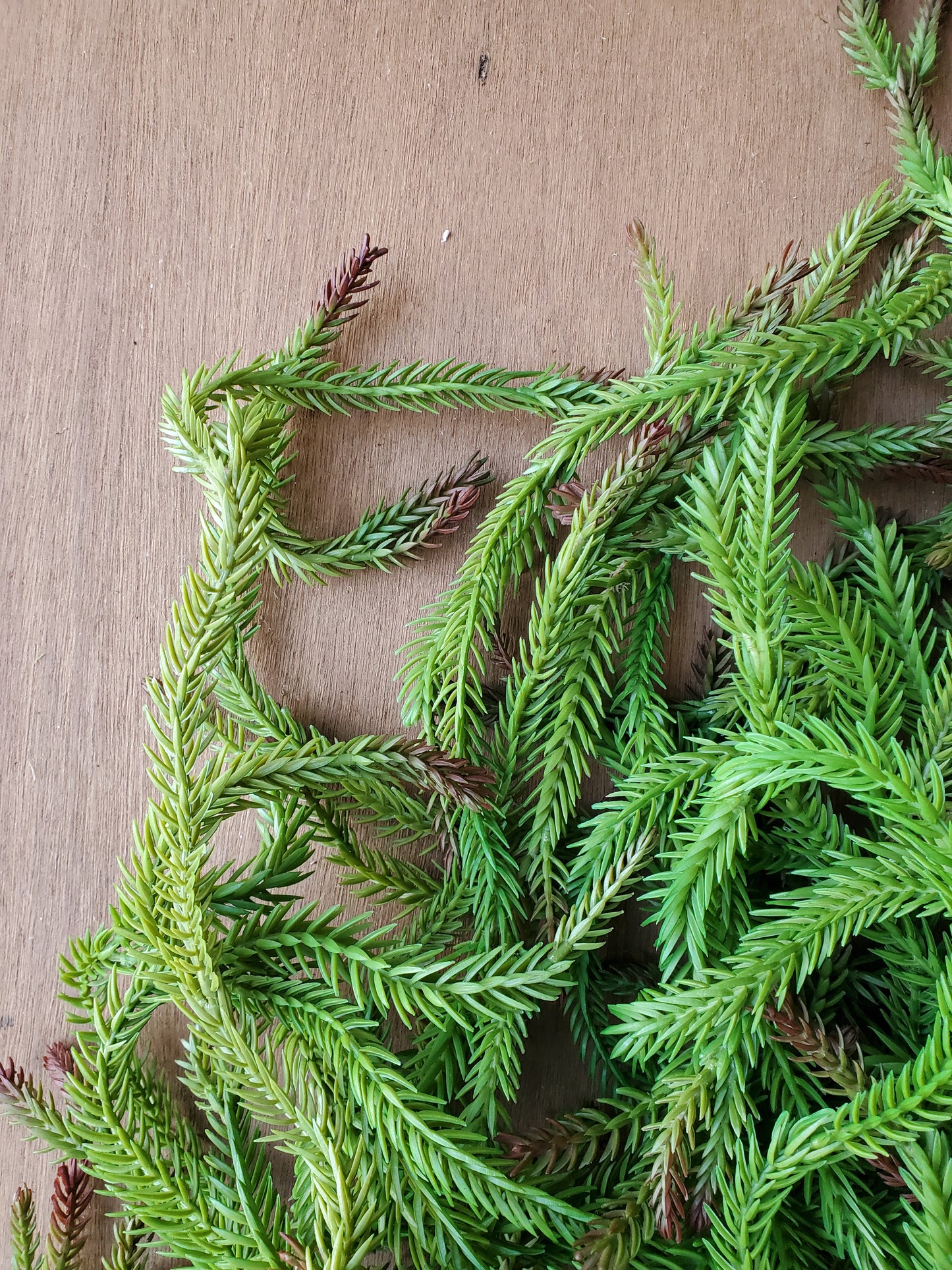 Fleurs artificielles - Sapin souple