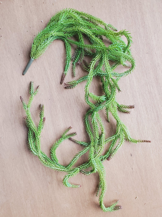 Fleurs artificielles - Sapin souple