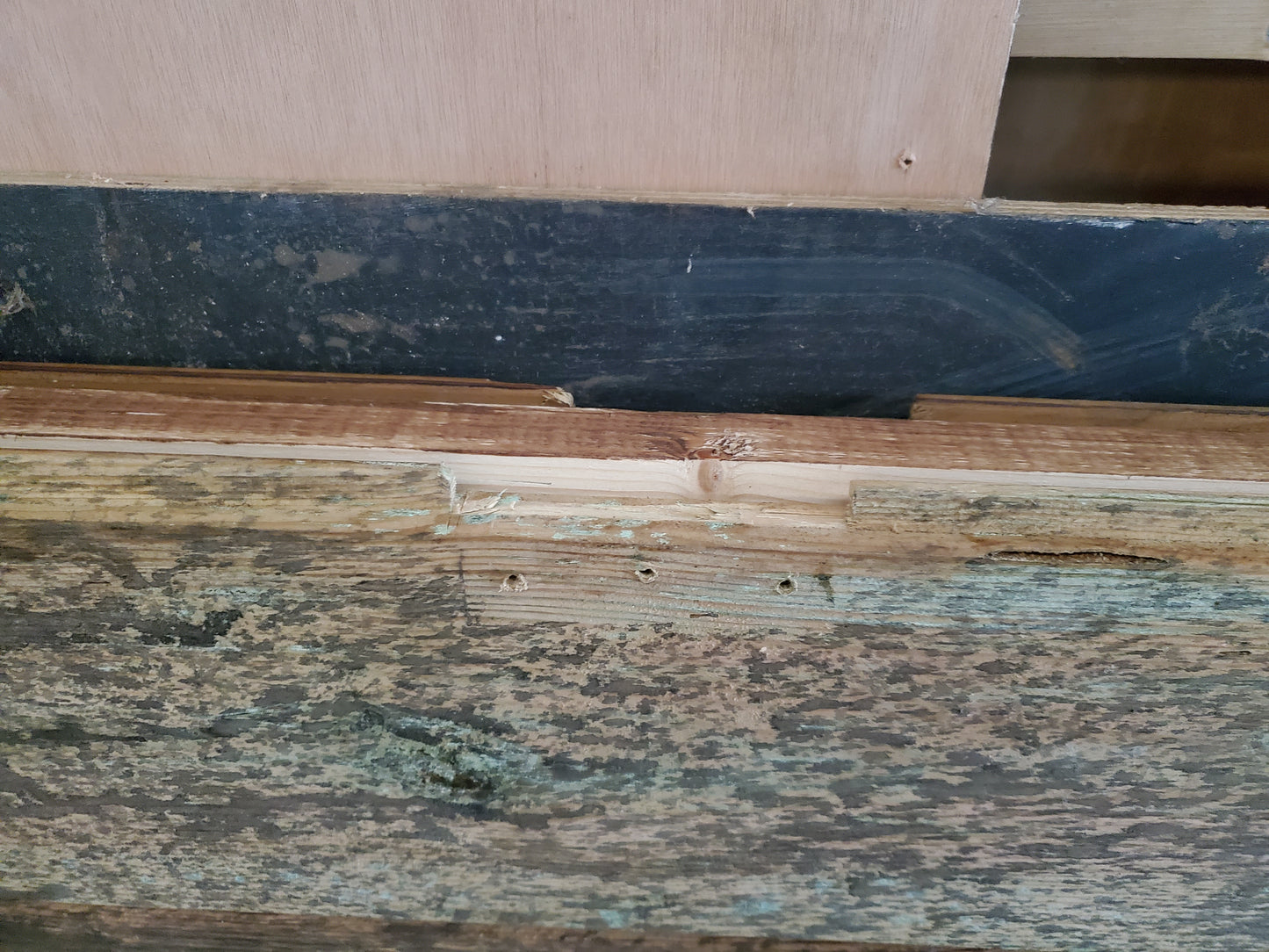 Porte bois (PO68)