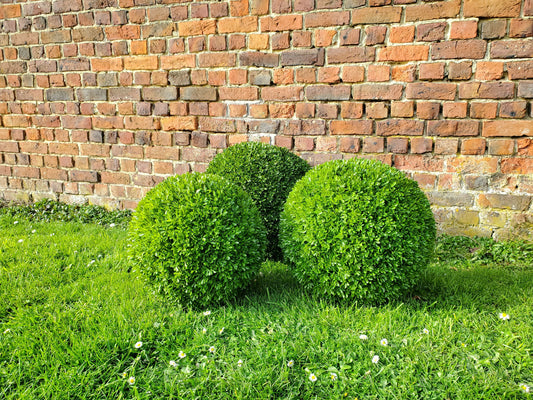 Plantes artificielles - Bui boule 35cm