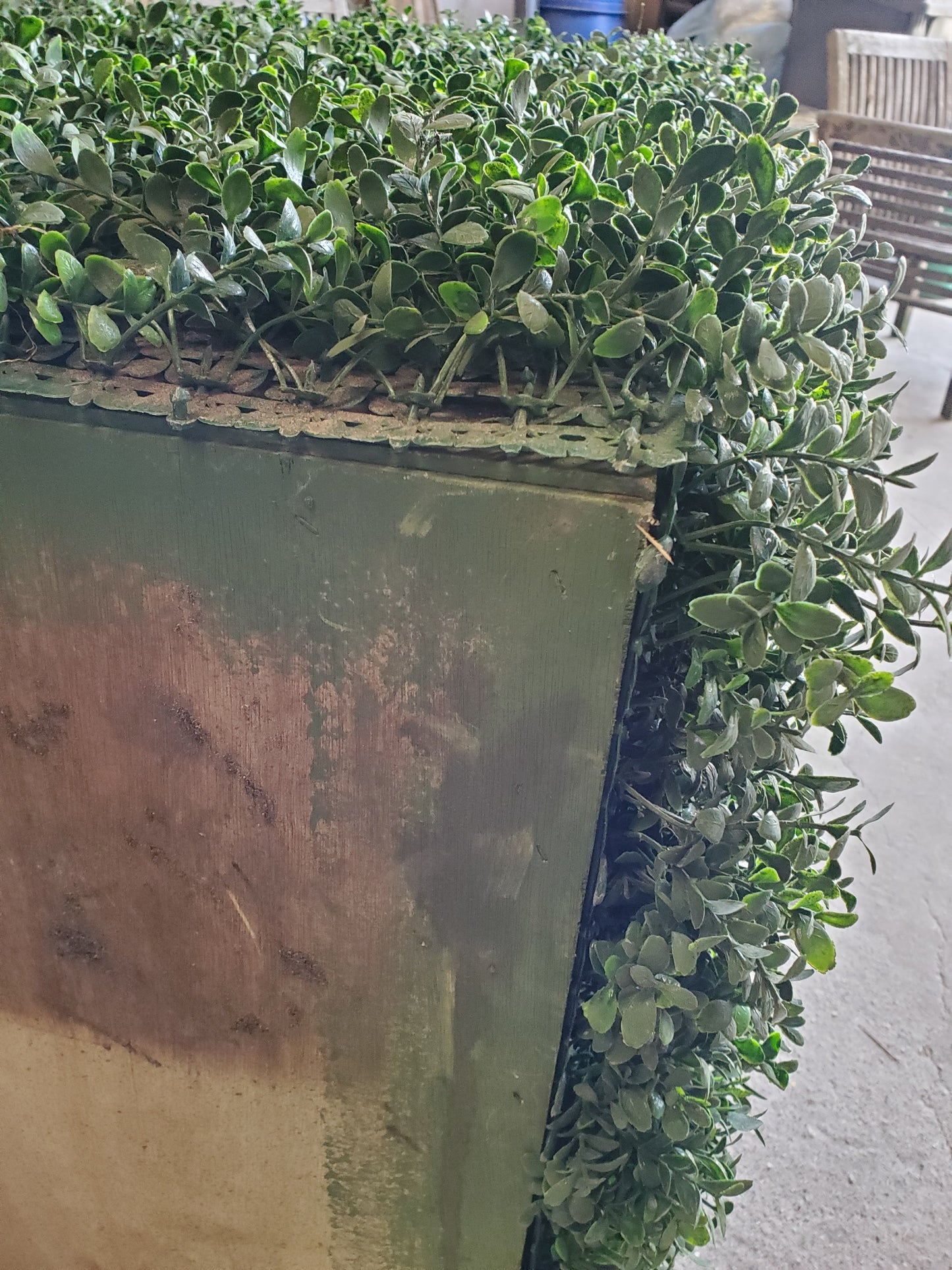 Fleurs artificielles - Bui topiaire rectangulaire basse