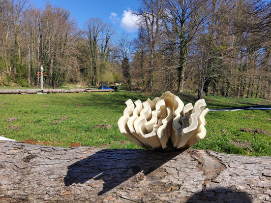 Moulures (frigolite) - MAGAZZINO