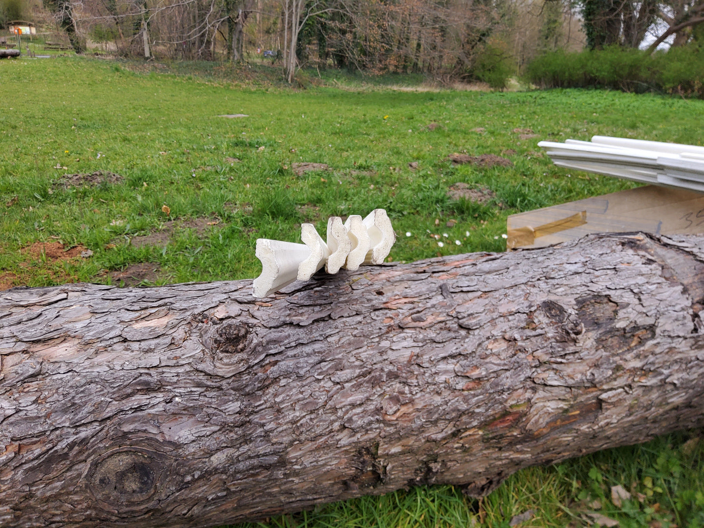 Moulures (frigolite) - MAGAZZINO