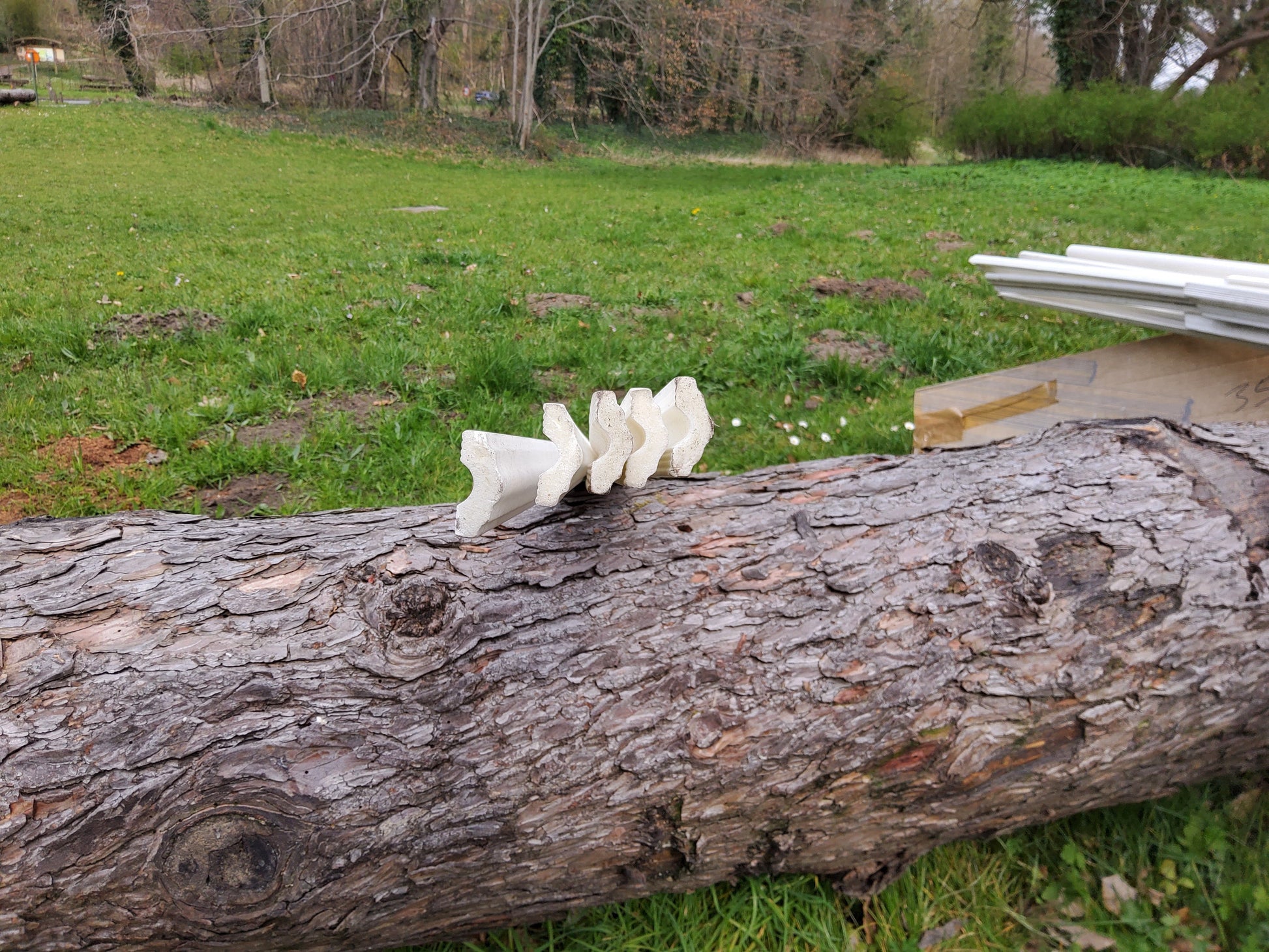 Moulures (frigolite) - MAGAZZINO