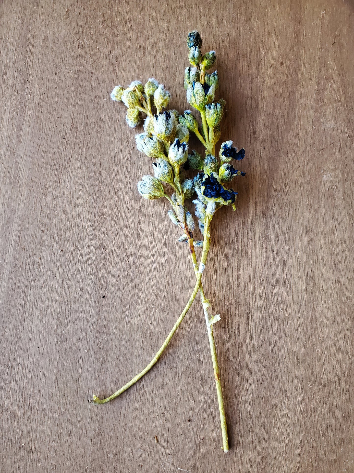 Fleurs artificielles - Fleurs bleues