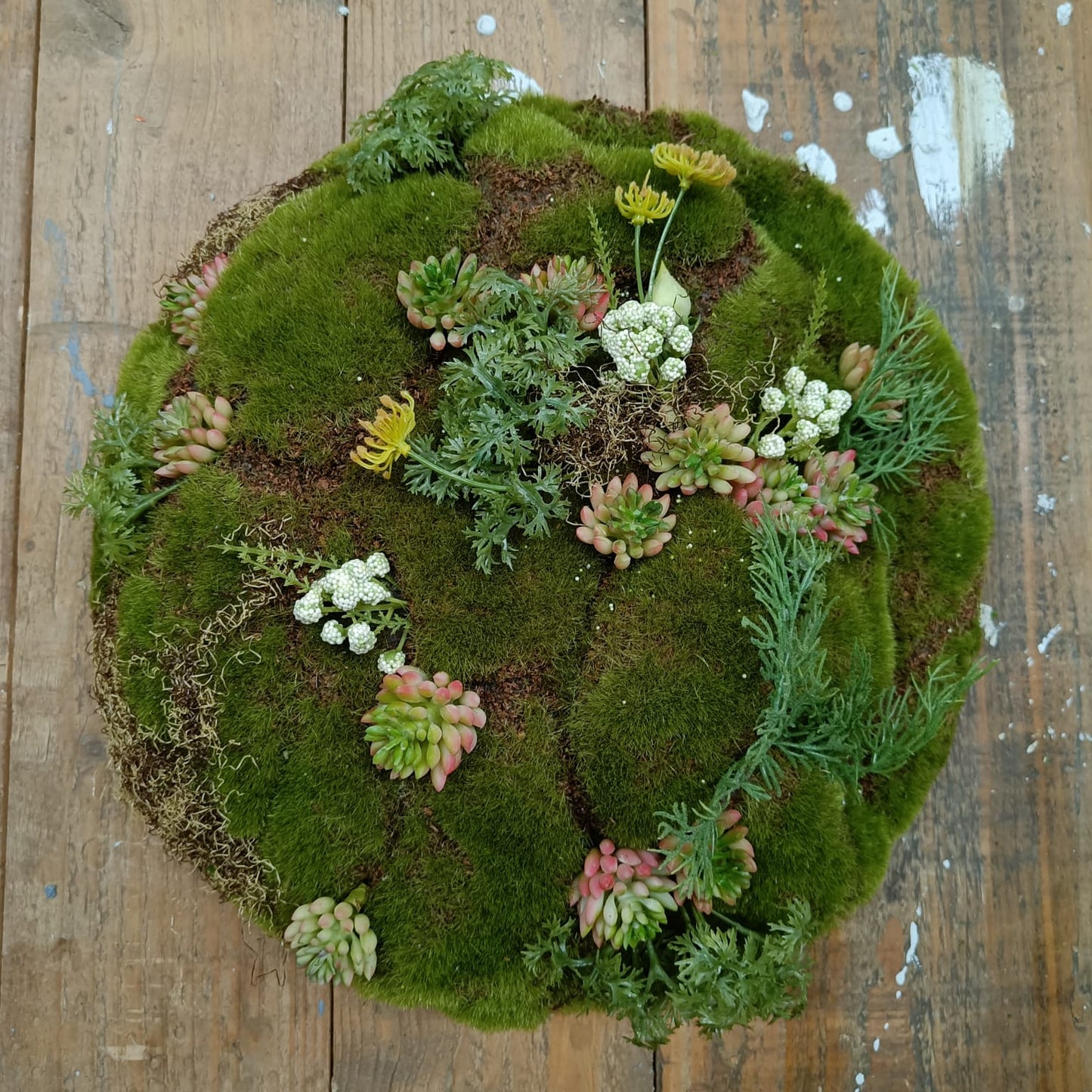 Compositions végétales artificielles