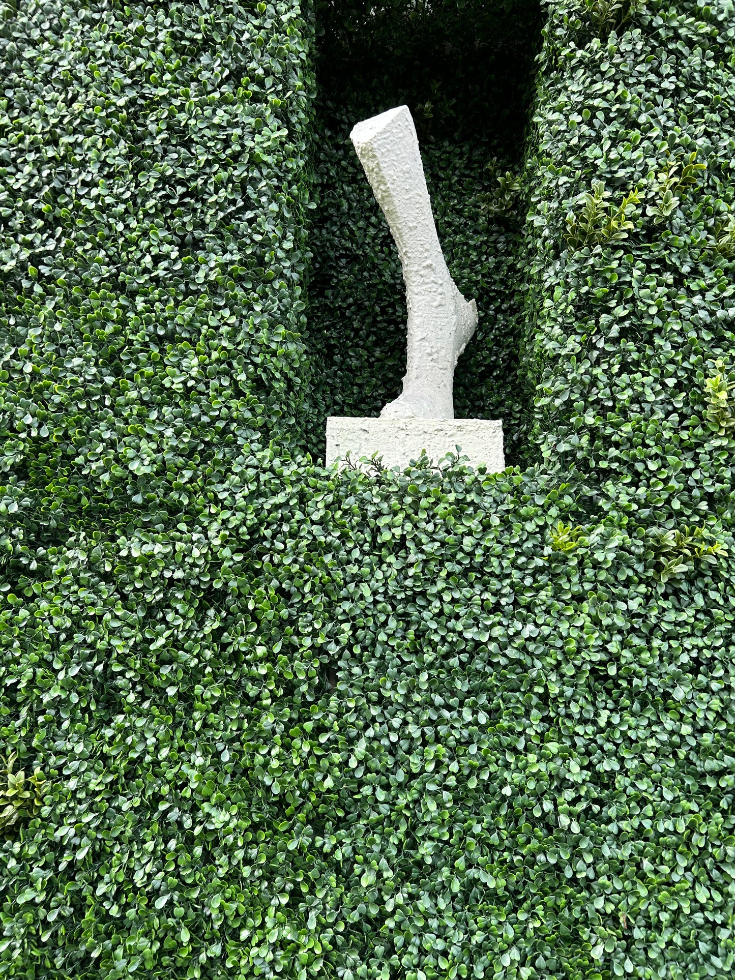 Fond de décor jardin