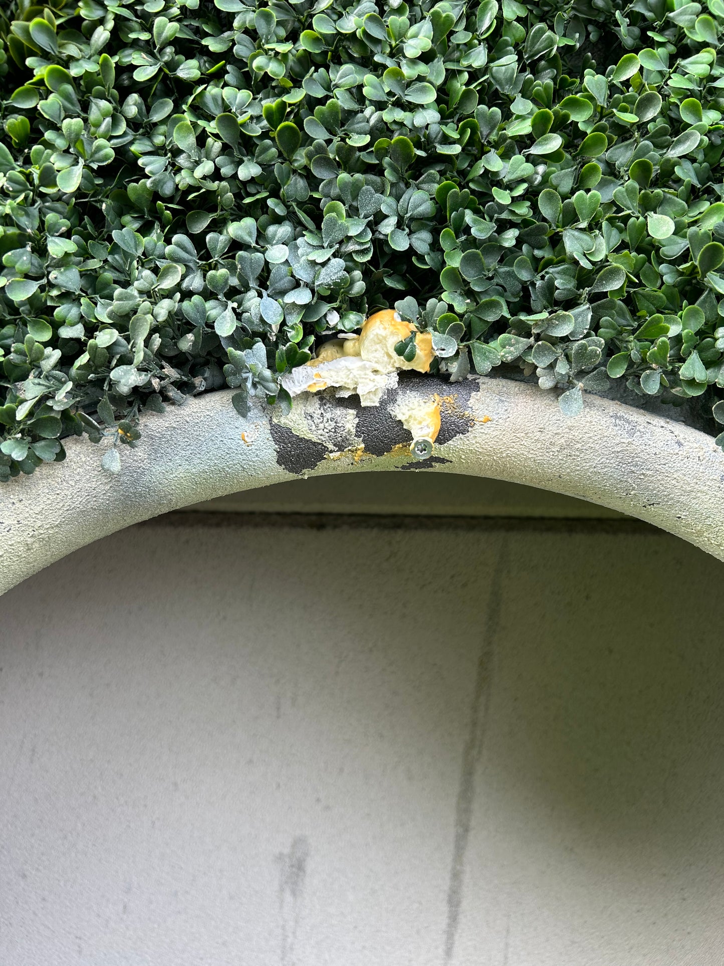Fond de décor jardin