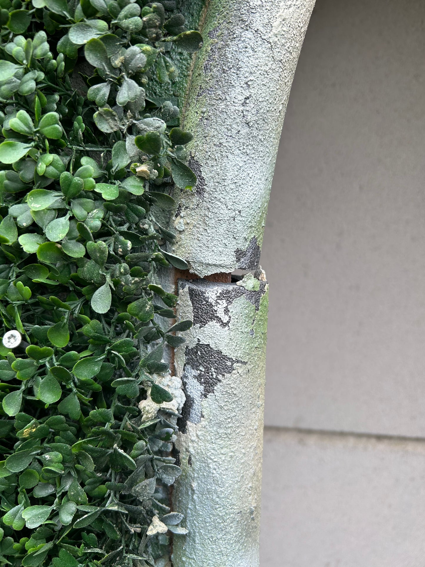 Fond de décor jardin